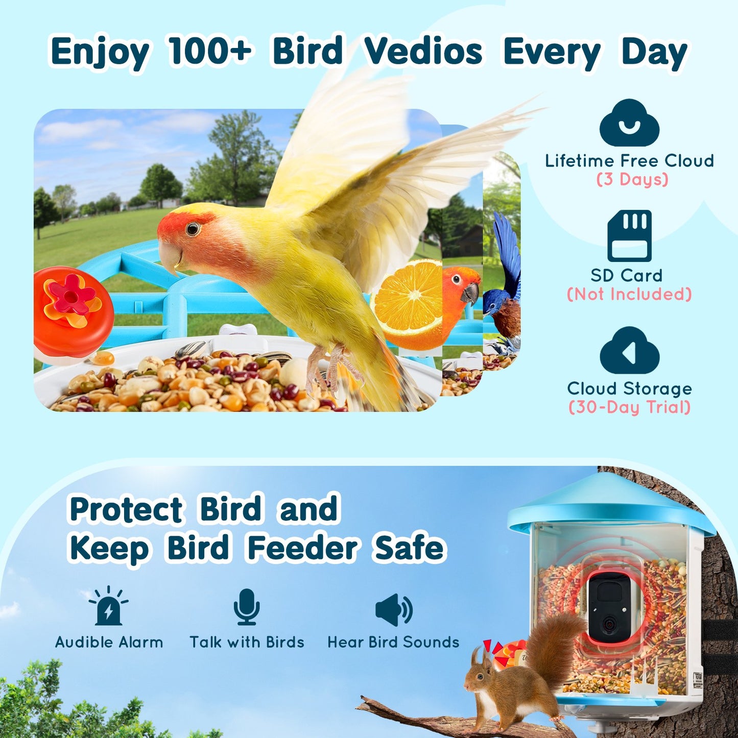 Smart bird feeder
