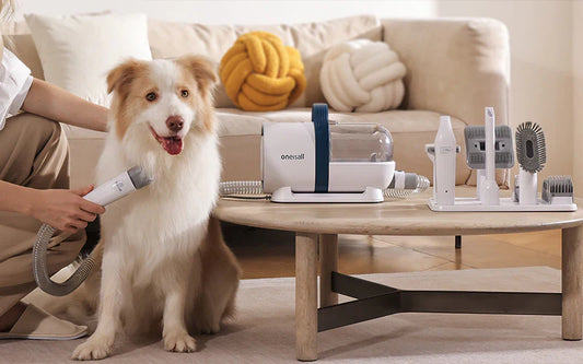 Smart Pet Gadgets That Make Pet Care Easier for Modern Owners