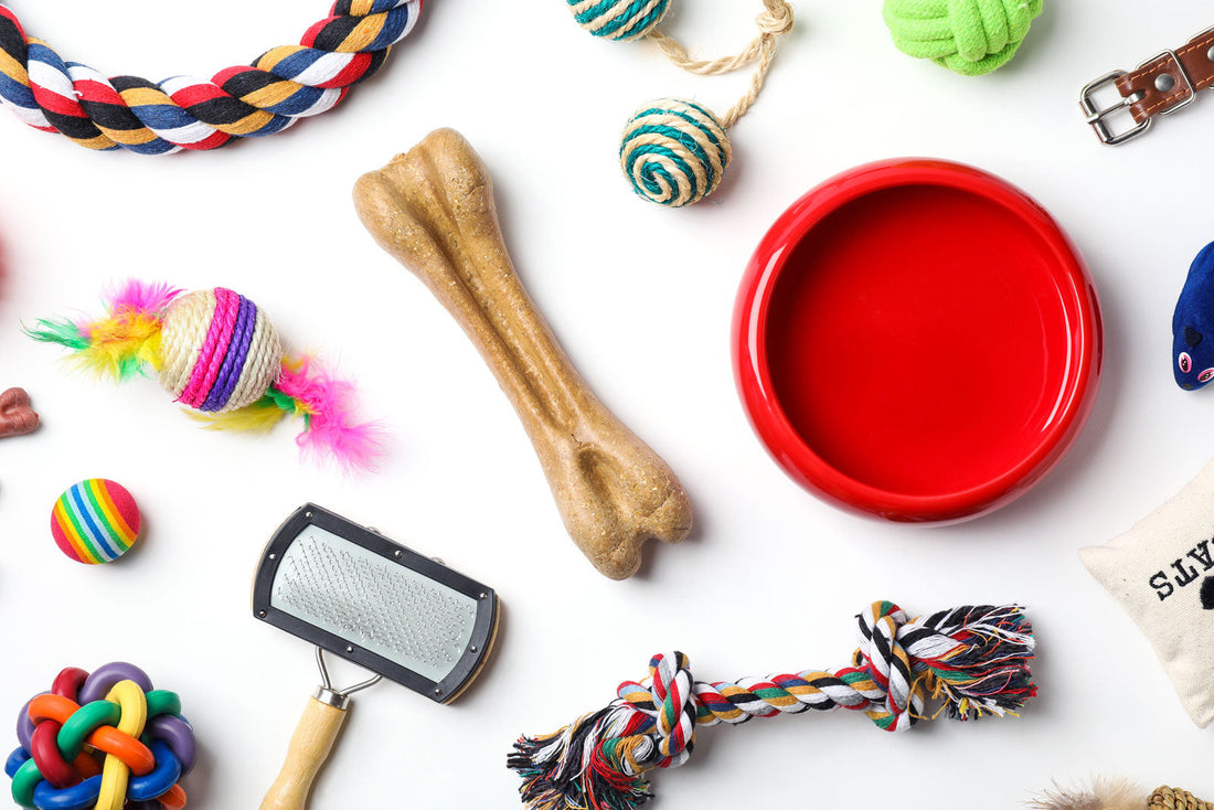 How to Choose Safe and Comfortable Toys for Your Pet