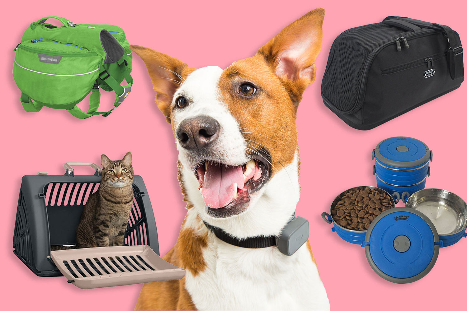 Pet Outdoor Supplies