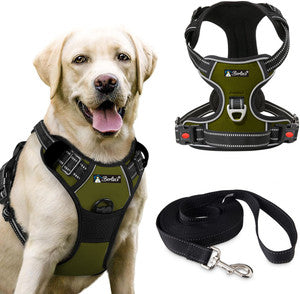 Pet Collars, Harnesses & Accessories