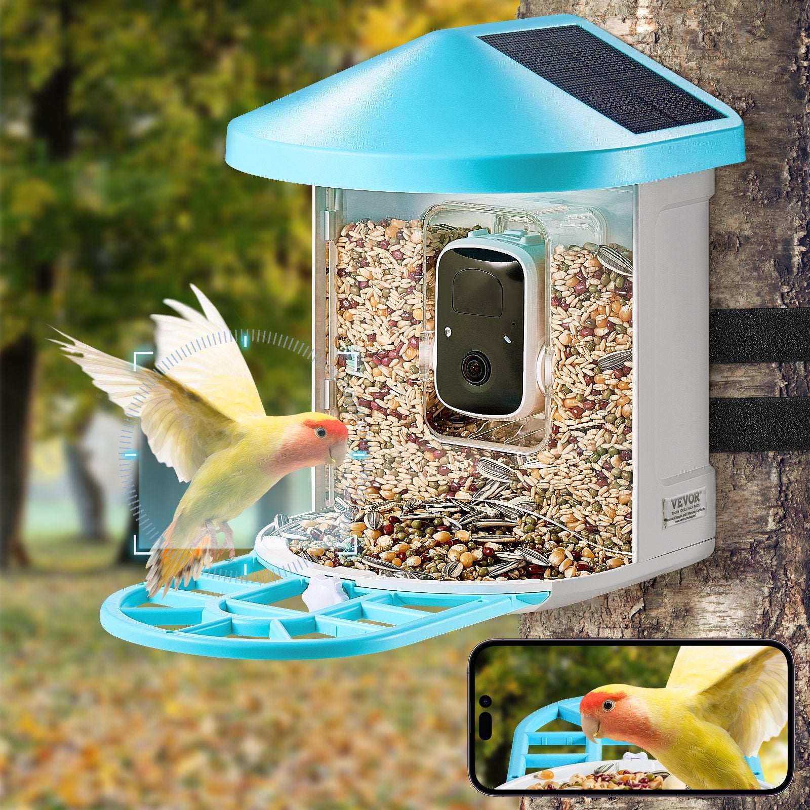 Smart bird feeder