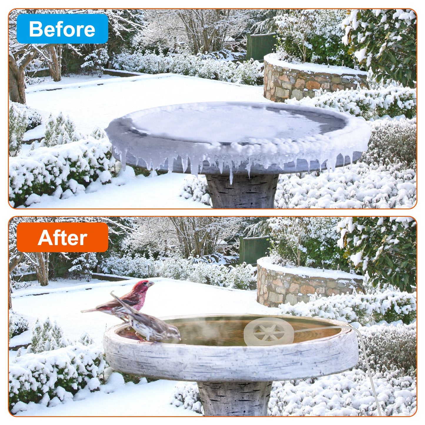 Bird bath heater