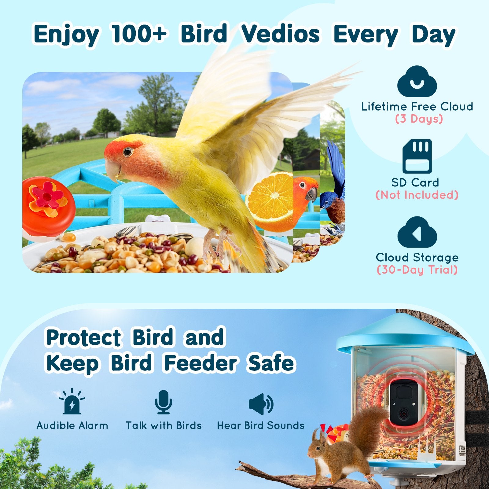 Smart bird feeder