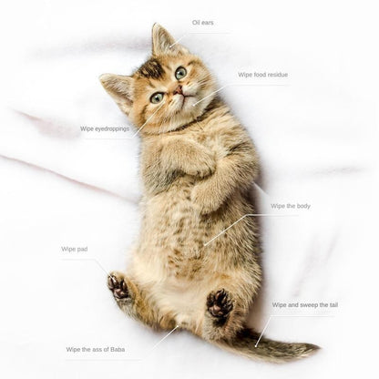 PET Cleaning  Deodorizing Bathing Wipes ForDogs And Cats, Nourish Fur Coconut OilGrooming Wipes For Dogs, Pet Cleaning GlovesWipes For Daily Care And Traveling.Hypoallergenic