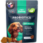 Probiotics For Dogs Support Gut Health Immunity Yeast Balance Itchy Skin Allergies Probiotics And Digestive Enzymes Coprophagia Deterrent For Dogs 180 Probiotic Chews For Dogs