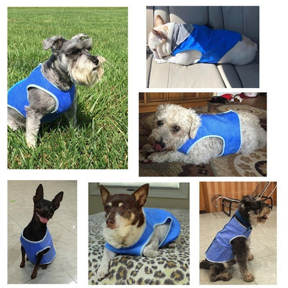 Dog Summer Cooling Vest, Pet Cooling Clothes Dog Cat Cooling Vest, Summer Heat Relief Vest Pet Dog Clothes Summer Clothes For Dogs Dog Cooling Vest